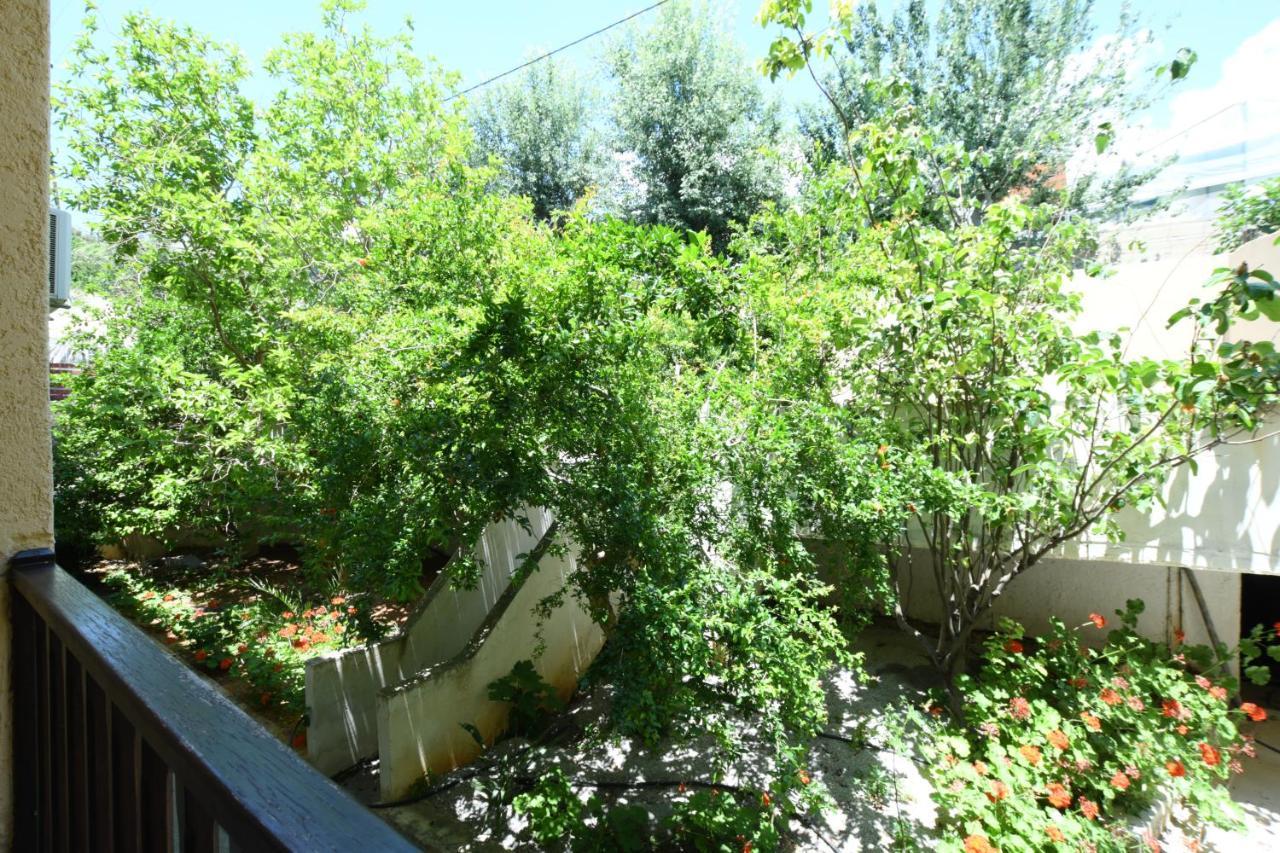 Achlia Galini Apartments מראה חיצוני תמונה